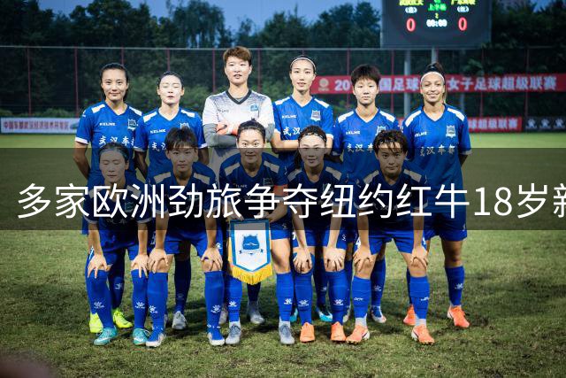 多家欧洲劲旅争夺纽约红牛18岁新星霍尔