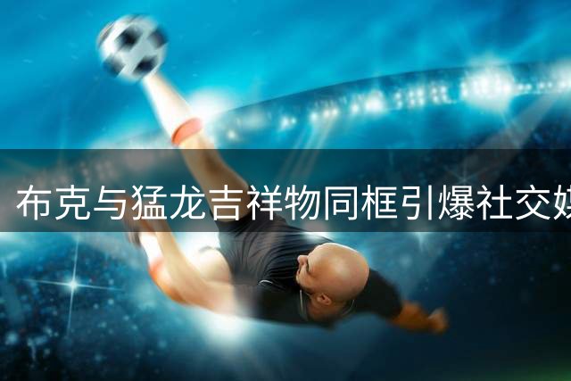 布克与猛龙吉祥物同框引爆社交媒体，太阳队晒照传递赛场温情