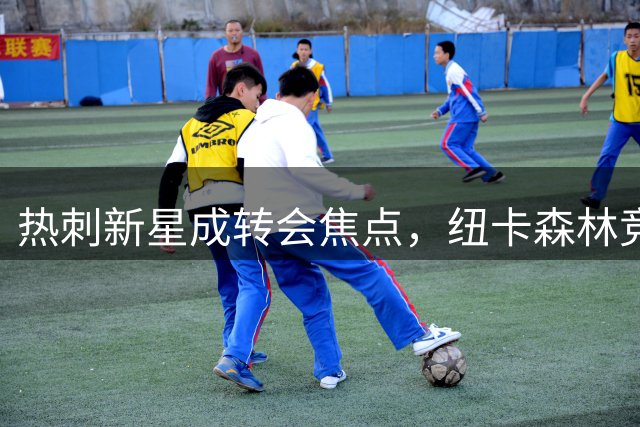热刺新星成转会焦点，纽卡森林竞逐瑞典中场