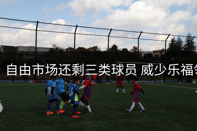 自由市场还剩三类球员 威少乐福领衔失业大军？