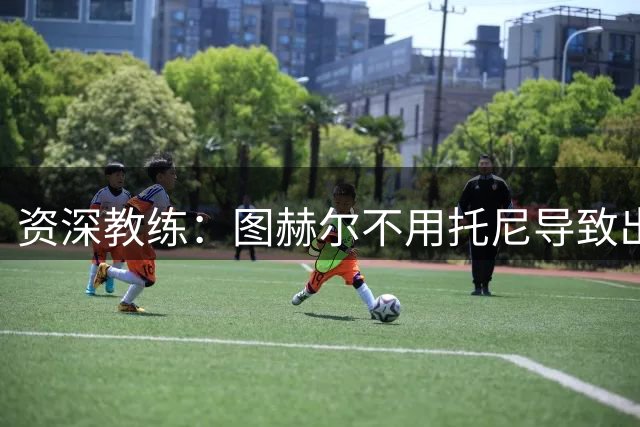 资深教练：图赫尔不用托尼导致出局，对阿根廷早点上他绝对管用